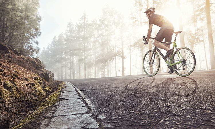 Bicycle in nature scenery