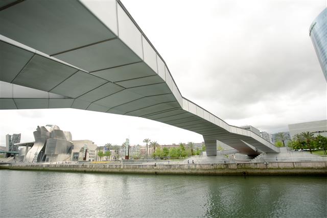 Padre Arrupe bridge