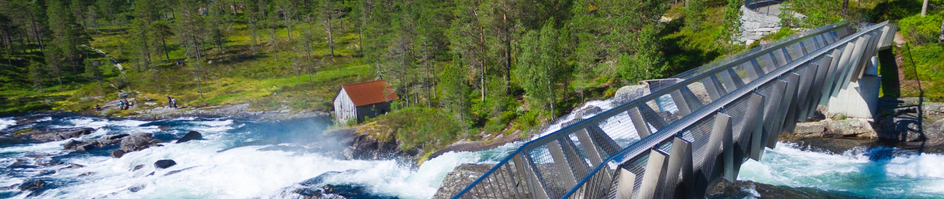 Bridge