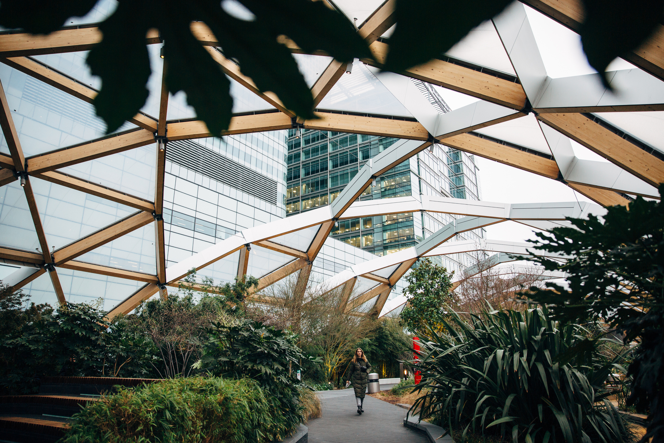 Green interior in a city with a glass ceiling