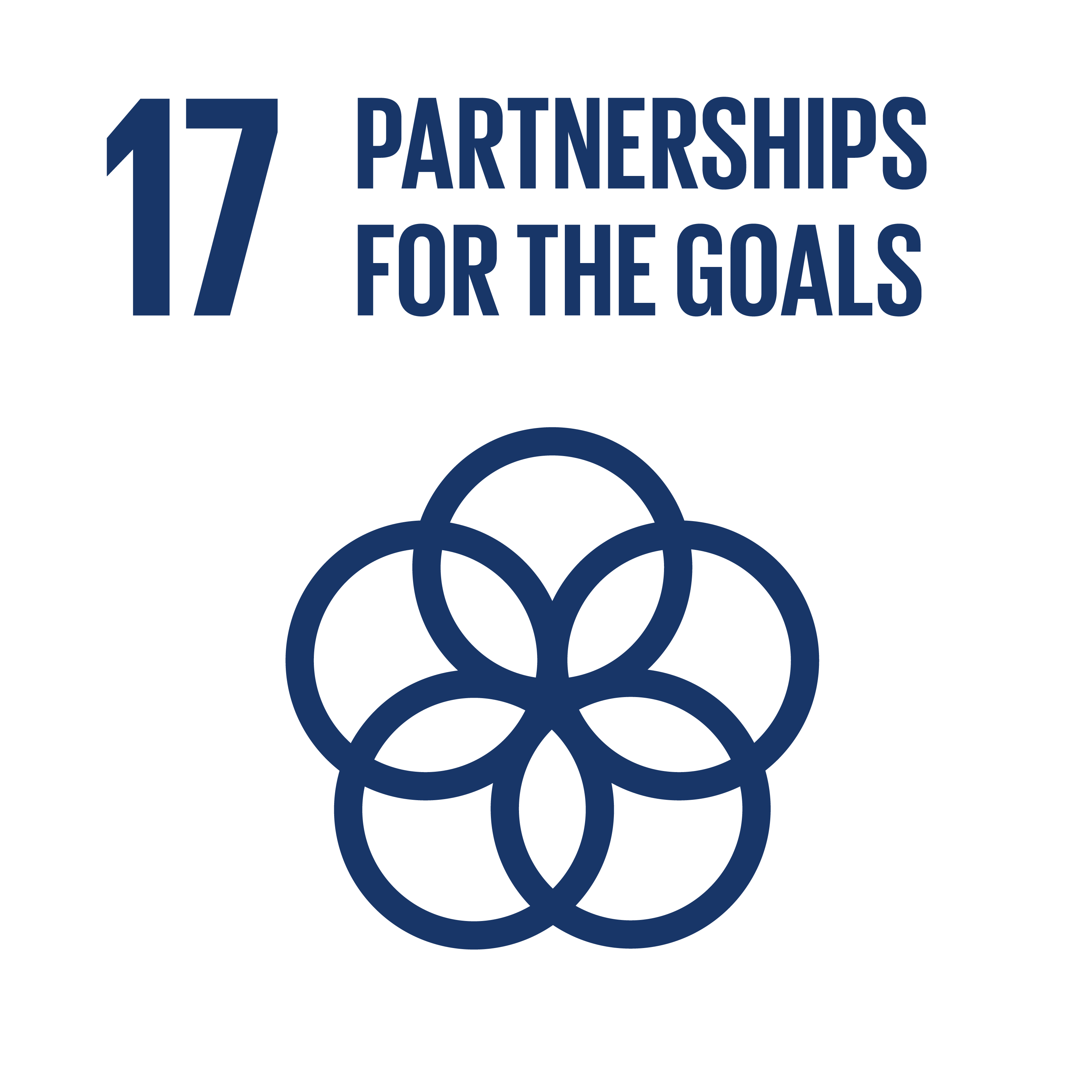 Logo SDG 17