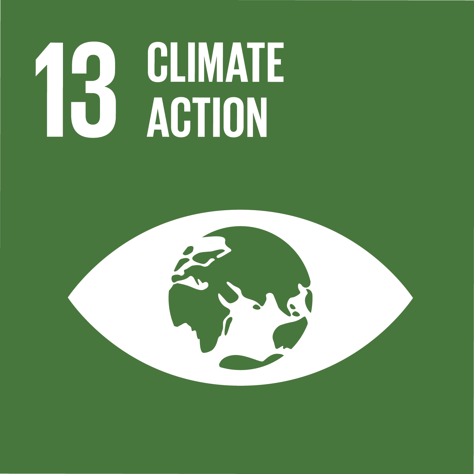 SDG Goal 13