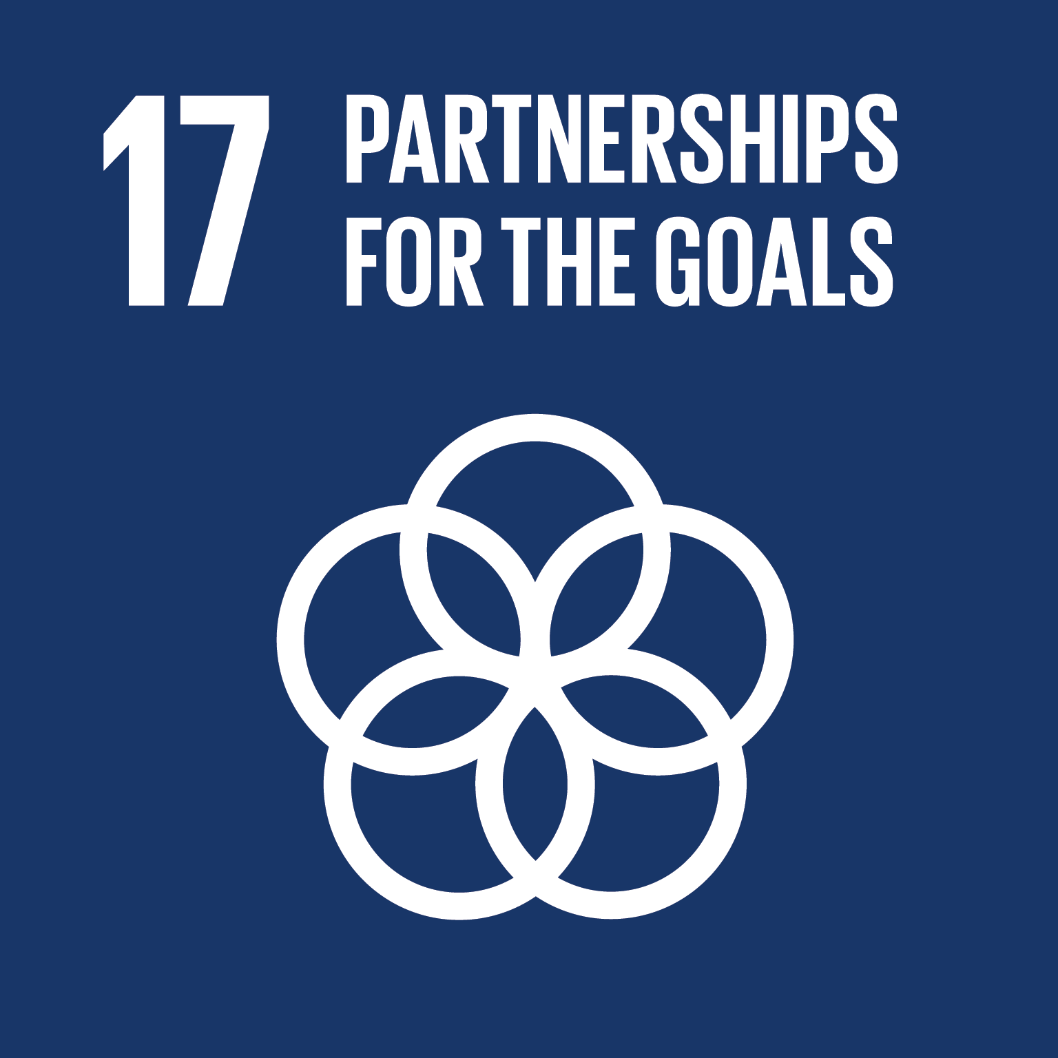 SDG Goal 17